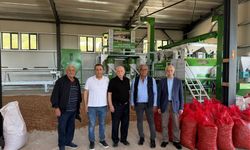 Erzincan’da Atıl Araziler İçin Yeni Umut: Kemaliye’de Yetiştiriliyor