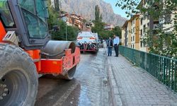 Kemaliye Doğalgaza Kavuşuyor! Çalışmalar Tam Gaz
