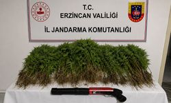 Erzincan’da JASAT ve Narkotik Ekipleri Harekete Geçti: Tutuklama Geldi