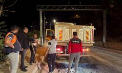 Kemaliye’de Altyapı Sonrası Asfalt Yama Çalışmaları Sürüyor