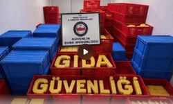 81 İlde Büyük Gıda Operasyonu: 61 Milyon TL’lik Sahte ve Tağşiş Ürün Ele Geçirildi!