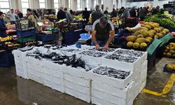 Erzincan Cumartesi Pazarı’nda Balıklar Tezgâhlardaki Yerini Aldı