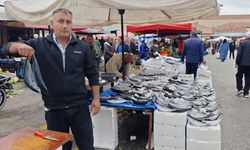 Erzincan’da Balık Fiyatları Karşılaştırıldı: İşte Fiyatlar
