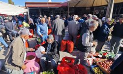 Erzincan'da Köylü Pazarında Ceviz ve Kuşburnu Fiyatları...