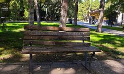 Erzincan’da Pazar Günü İnsanlar Ne Yapıyor? Yaz Siz!