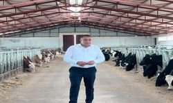 Erzincan’da Süt Üreticisi Fiyat Güncellemesi Bekliyor