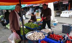 Erzincan’ın Yerli Mantarı Tezgâhlarda!