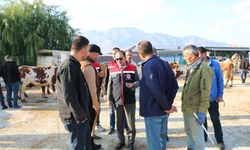 Erzincan'da diğer illere sınır olan ilçelerde ekiplerden hummalı çalışma...