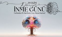 29 Ekim İnme Günü: İnme Nedir?