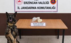 Atatürk Mahallesi’nde Operasyon: 2 Kişi Hakkında İşlem Başlatıldı