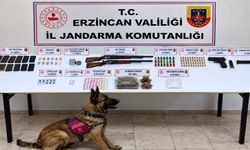 Erzincan’da Eylül Ayında 4 Tutuklama, Yüzlerce Yakalama