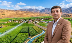 Çayırlı’da 328 Kişiye Soruldu: Oktay Efe İçin Hangi Sonuçlar Çıktı?
