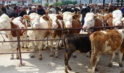 Kurban Bayramı cezaları belli oldu: 839.122 TL cezası var