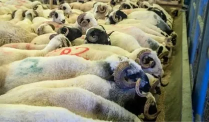 Kurban Kesme Yerine Bedeli Verilebilir Mi?