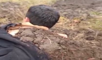 2 kardeşin ve sürünün üzerine yıldırım düştü