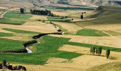 Aşkale’de 40 bin m² tarım arazisi uygun fiyata satılacak