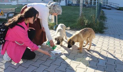 Allah varsa endişe niye? Teslim olan aç kalmaz…