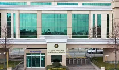 Erzincan'da Milli Emlak'tan 40 Silah Açık Artırmayla Satılacak