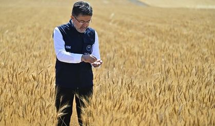 1.874 Kişilik Alım Müjdesi! Tarım ve Orman Bakanlığı Kadroları Açıklandı