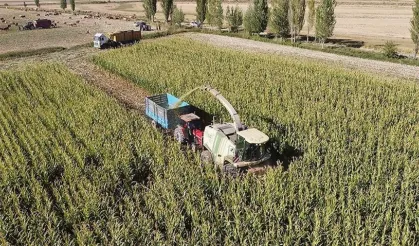 Erzincan’da tarıma yüksekten müdahale