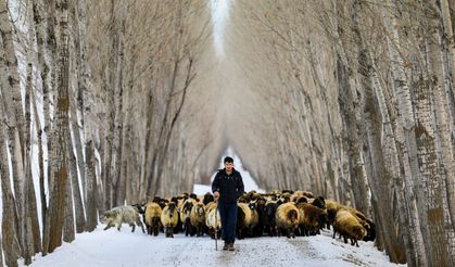 İş Dünyasında "Yalnızlık" Alarm Veriyor!