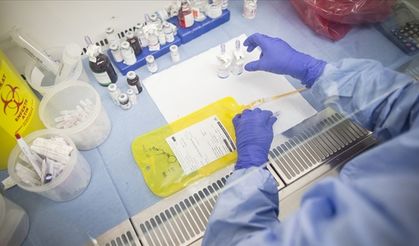 Erzincan’da Kadın Sağlığı ve Kanser Taramaları Eğitimi Düzenlenecek