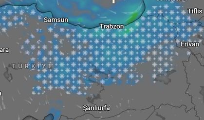 Erzincan İçin Turuncu Alarm: Kar, Tipi, Çığ...