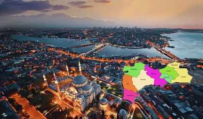 İstanbul'da kaç Erzincanlı yaşıyor?