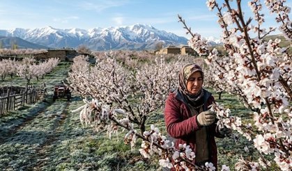 Meteoroloji Erzincan uyarılarına devam ediyor: Çiftçiler dikkat!