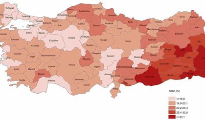Erzincan'da ortalama eğitim yaşı 25 buldu