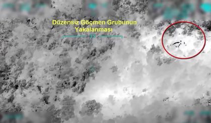 Erzincan dahil 24 ilde göçmen kaçakçılığı operasyonu