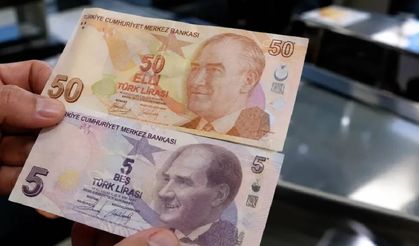 Yeni 5 ve 50 TL'ler piyasada dolaşıma girdi
