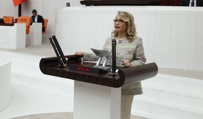 Trabzon-Gümüşhane-Erzincan demiryolu hattı Meclis gündemine taşındı