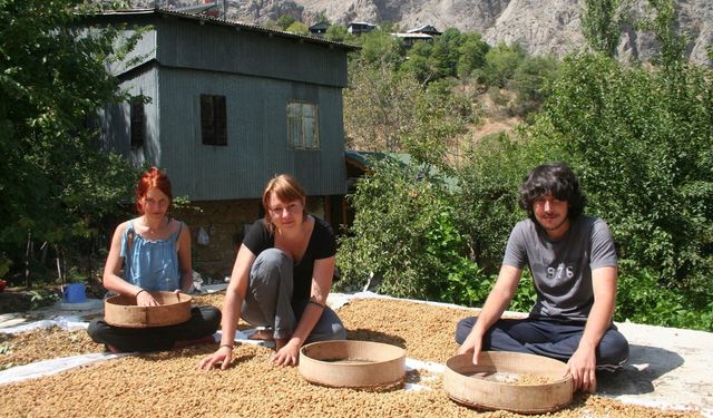 Çalışarak bedava tatil imkanı