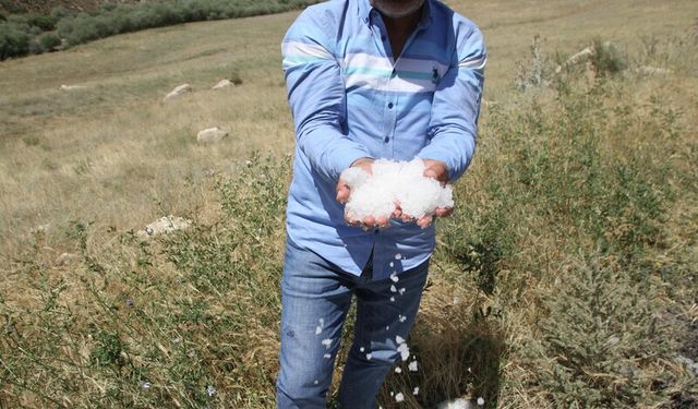 Dolu Yağışı Nedeniyle Tarım Arazileri  Büyük Zarar Gördü 