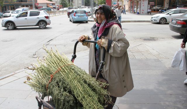 Unutulan gelenek: Çalı süpürgesi