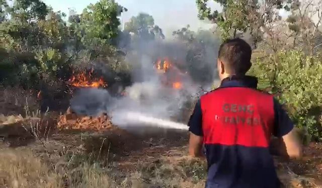 Orman yangını vatandaşları korkuttu