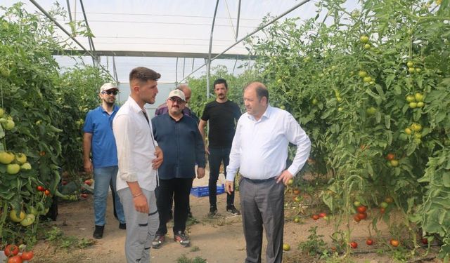 Erzincan'da seracılık sektöründe büyüme: Üreticilerden memnuniyet