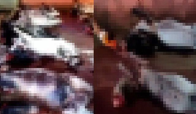 Tek tırnaklı hayvan kesimine ilişkin Tarım ve Orman Bakanlığı’ndan Basın açıklaması