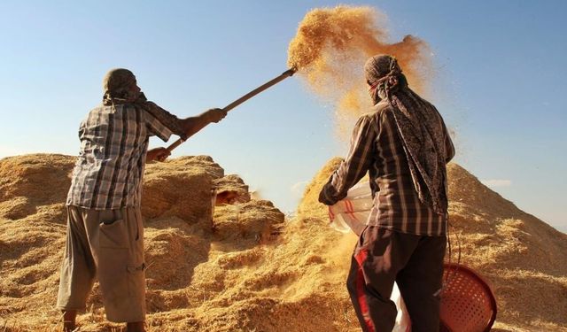 Çiftçilerin beklediği 1 milyarlık ödeme bugün hesaplarda