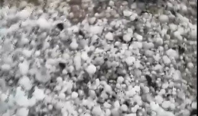 Ceviz büyüklüğünde yağan dolu çok sayıda kuşu telef etti!
