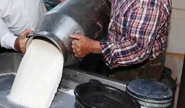 TÜİK, Temmuz ayın Süt ve Süt Ürünleri Üretimi verilerini açıkladı