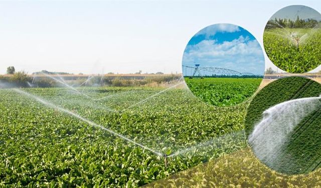 Çiftçilere müjde! Pancar avans ödemeleri bugün hesaplarına yatıyor