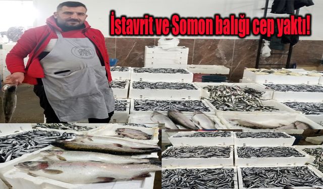 Bu hafta Erzincan Cumartesi Semt pazarında istavrit ve somon balığı cep yaktı!