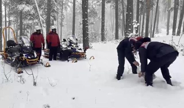 Kars Jandarma Ekiplerinden Yaban Hayvanlarına Yiyecek Yardımı