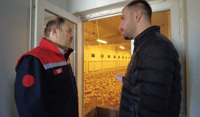 Erzincan’da Tavuk Çiftlikleri denetleniyor!