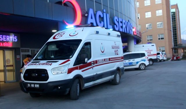 Erzincan’da bir kişi ayı saldırısına uğradı