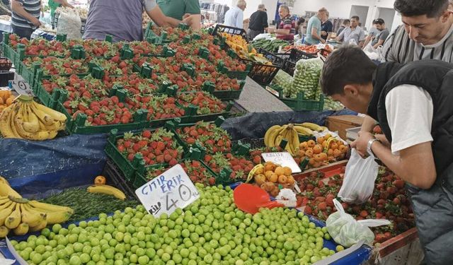 Erzincan’da sebze ve meyve bolluğu! Pazar fiyatları çok ucuzladı