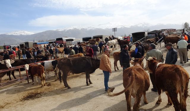 Erzincan’da hayvan pazarından kurbanlıklar görücüye çıktı:. İşte kurbanlık fiyatları
