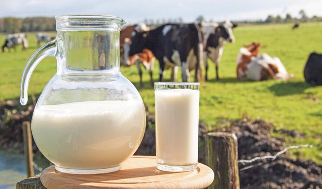 Sütün taşmasını engelleyecek yöntemler nelerdir?